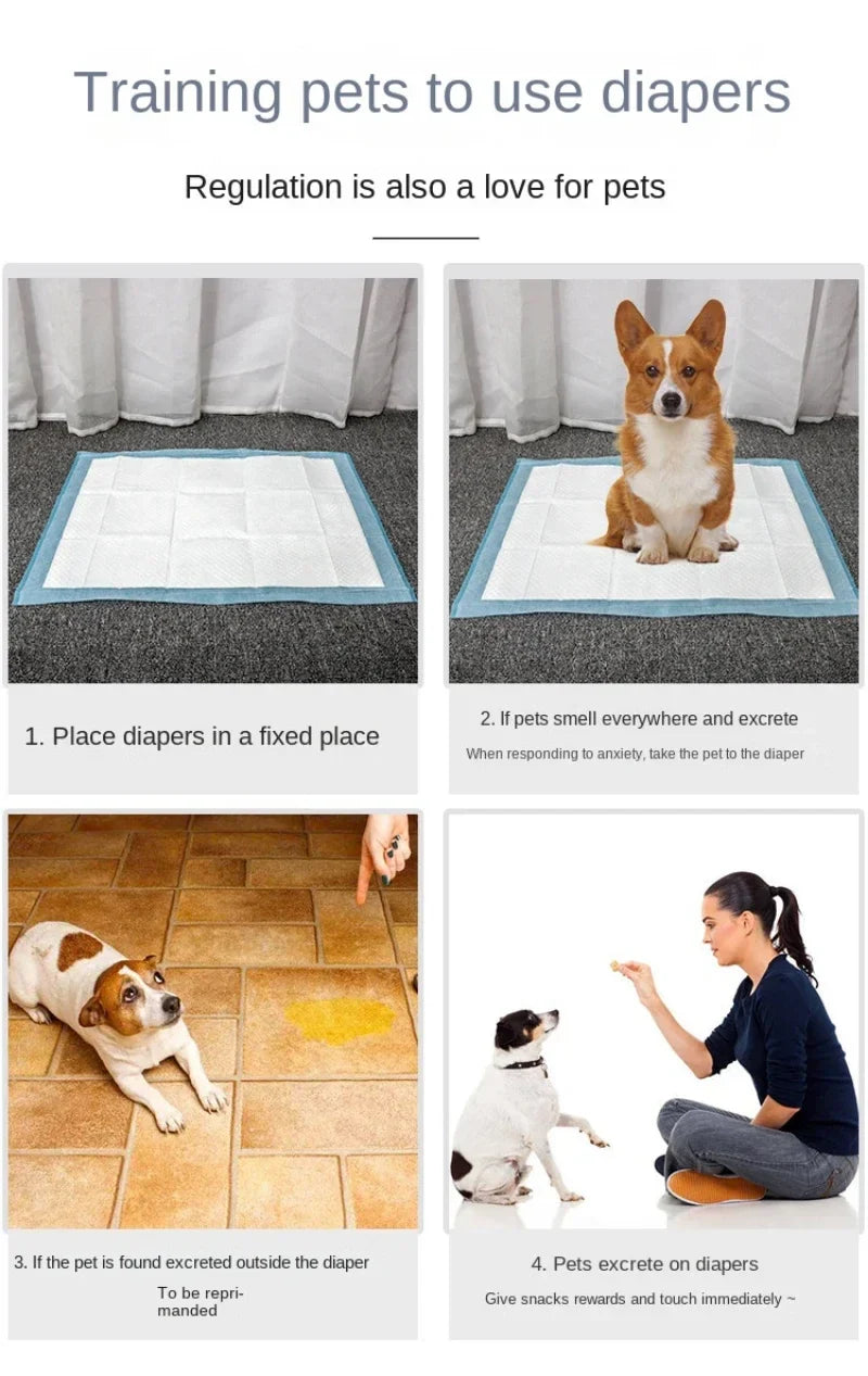 Absorbent Pee Pads for Puppy Training & Senior Pups